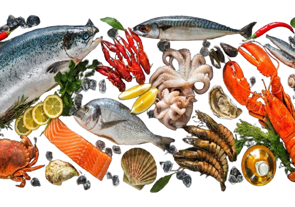 Sea Food Cures Helps Recovery Cardiac Arrest