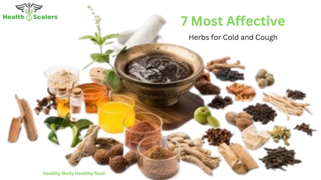 7 Most Affective Herbs for Cold and Cough