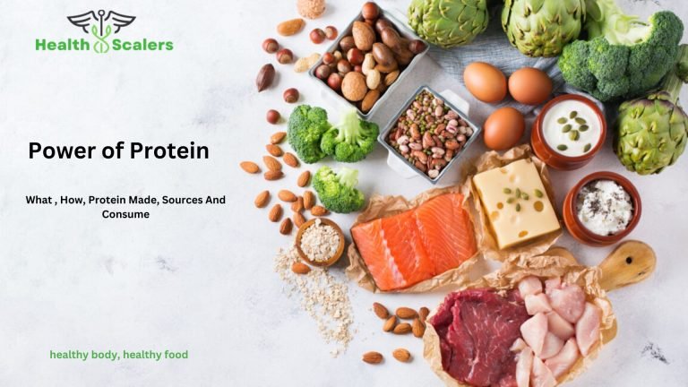 Power of Protein: What , How, Protein Made, Sources And Consumption Power of Protein: What , How, Protein Made, Sources And Consume