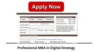Professional MBA in Digital Strategy